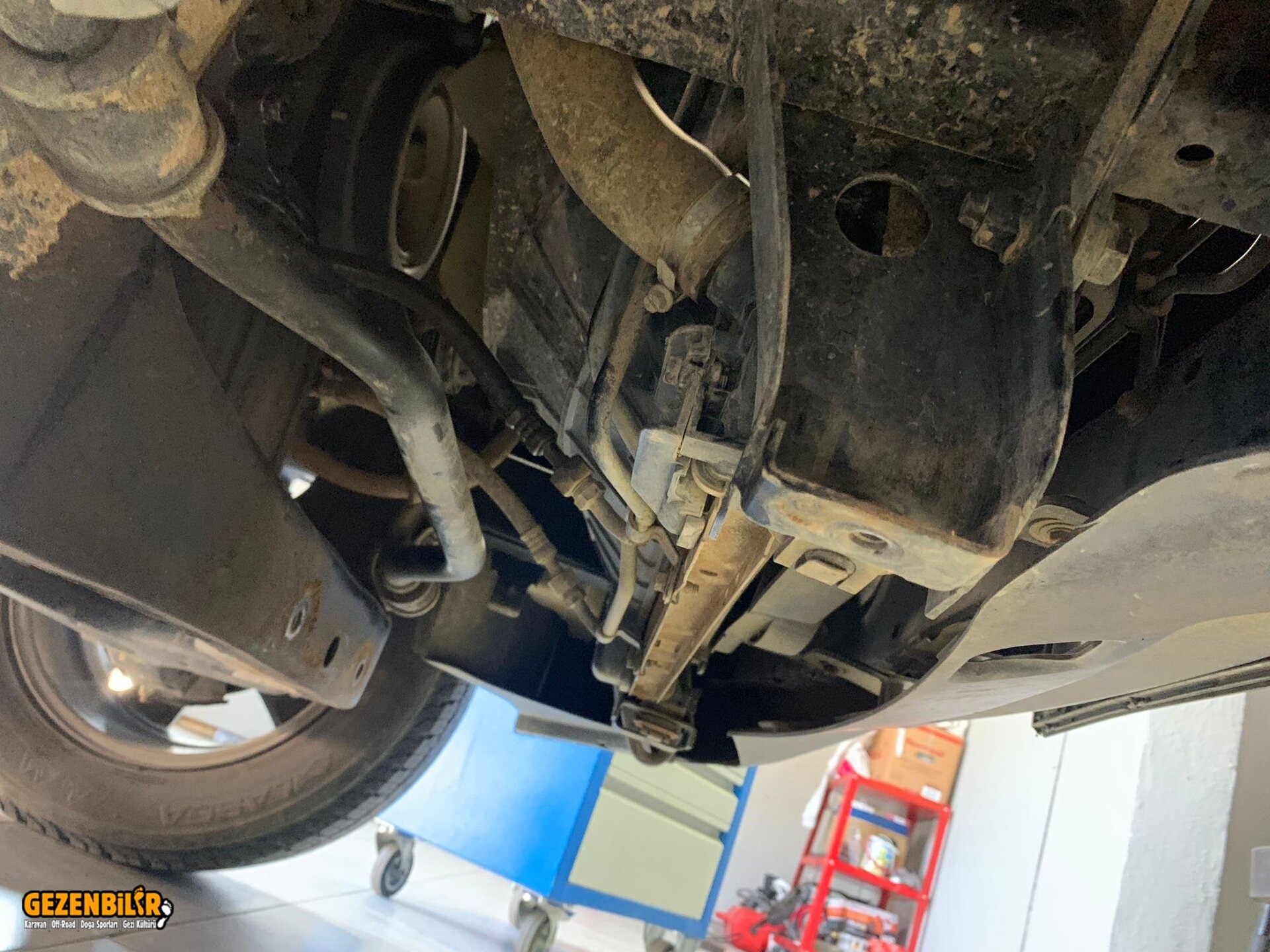 WhatsApp Image 2022-07-26 at 16.56.02.jpeg