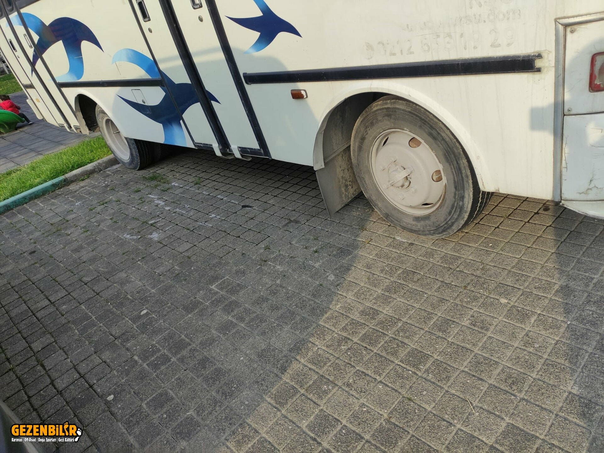 WhatsApp Image 2023-07-31 at 10.06.32.jpeg