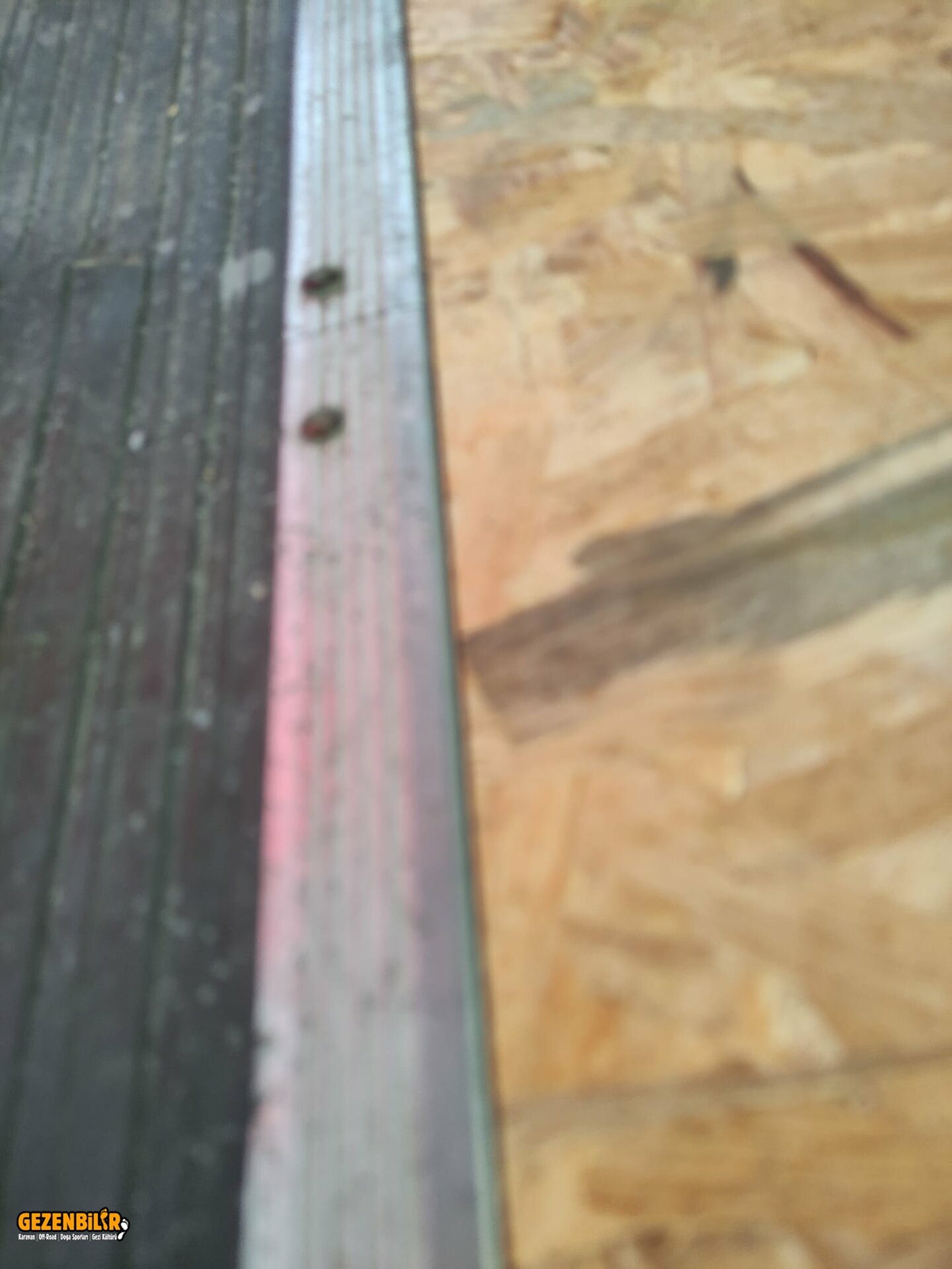 WhatsApp Image 2023-11-06 at 10.53.13.jpeg