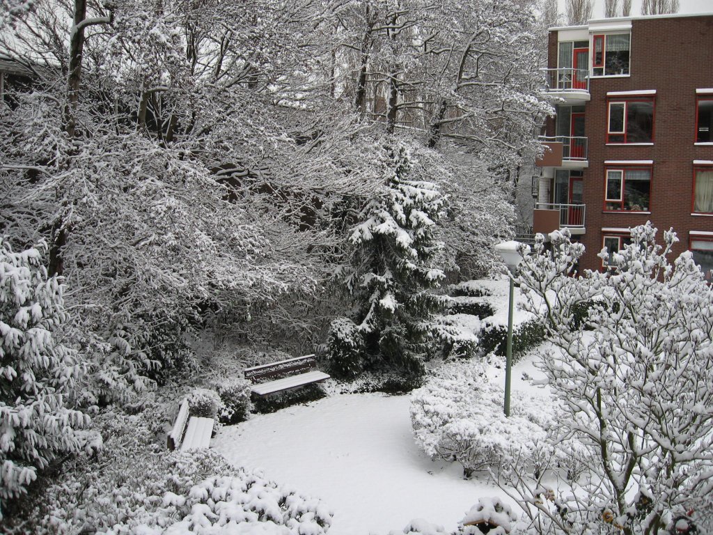 Winter 2010 001.JPG