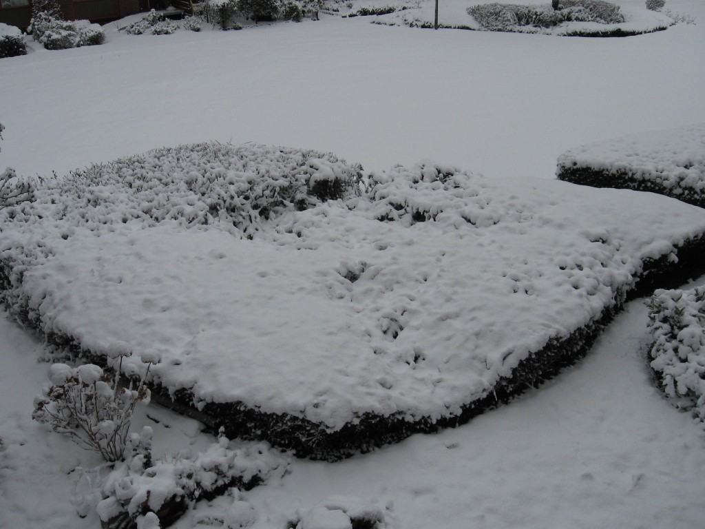 Winter 2010 008.JPG