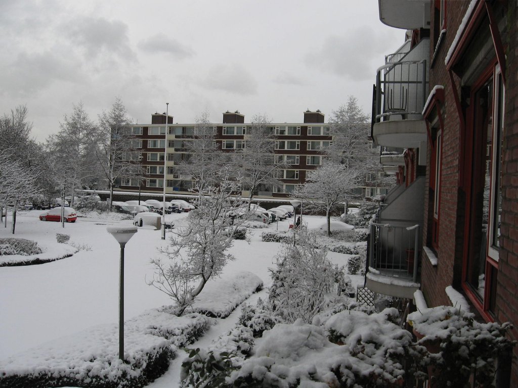 Winter 2010 010.JPG