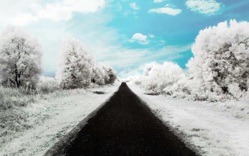 winter-road(www.TheWallpapers.org)-1.jpg