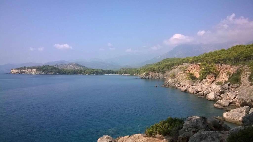 WP_20140820_001.jpg