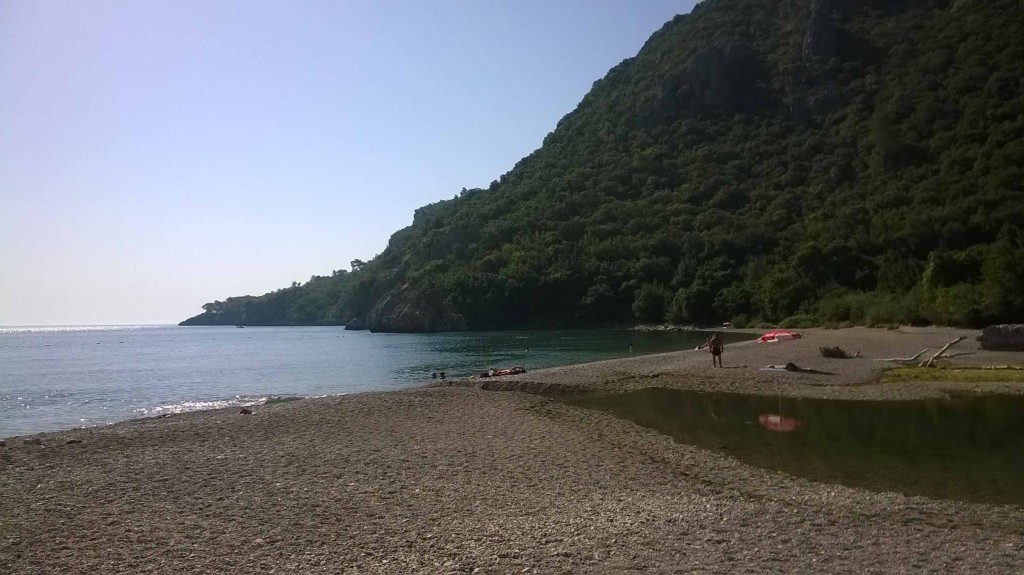 WP_20140822_004.jpg