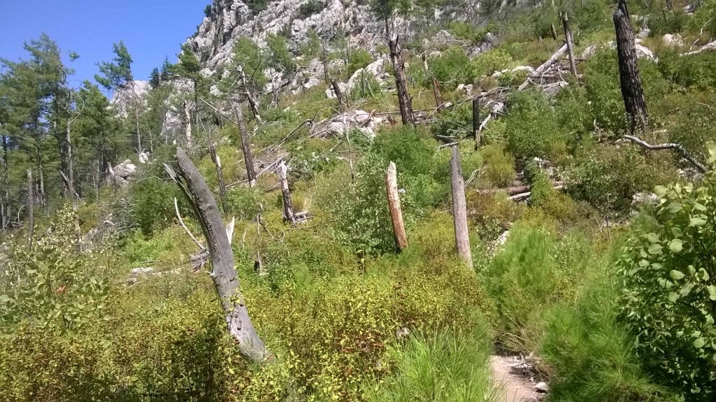 WP_20140822_021.jpg