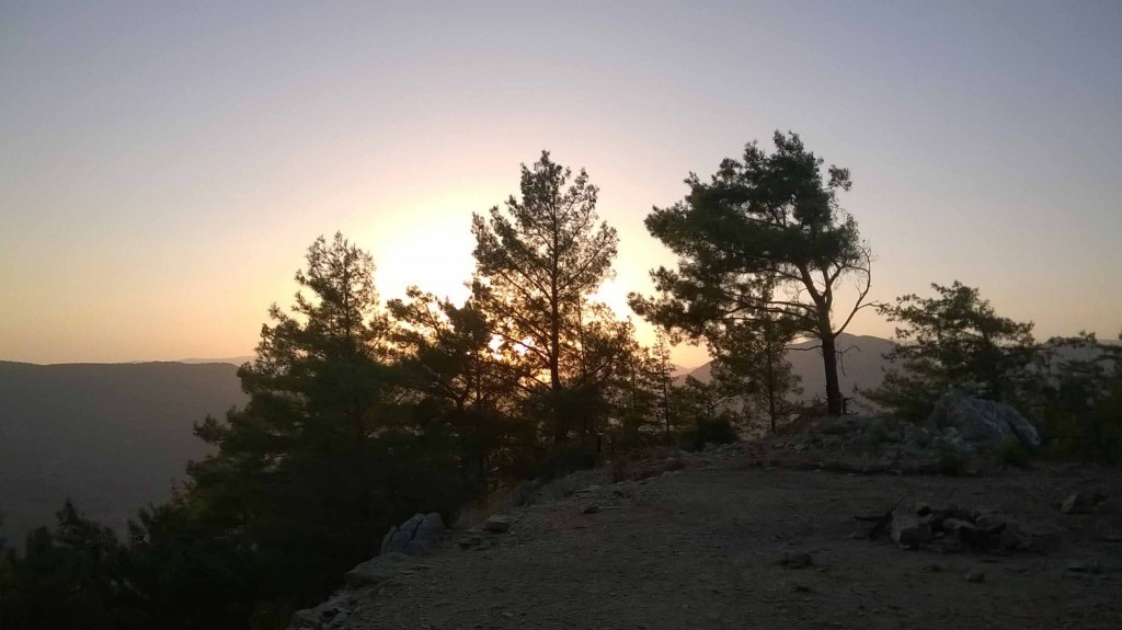 WP_20140822_029.jpg