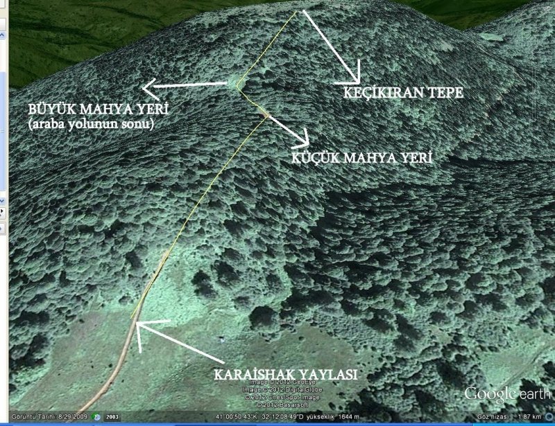 YAYLA MAPS1.jpg