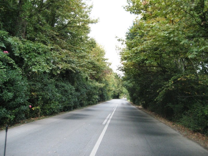 YeÃƒÂƒÃ‚Â…ÃƒÂ‚Ã‚ÂŸil duvarlÃƒÂƒÃ‚Â„ÃƒÂ‚Ã‚Â± yol-Chalkidiki .Yunanistan.jpg