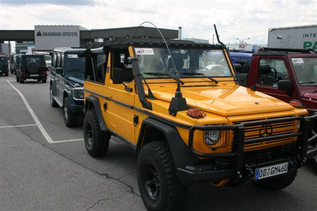 Yellow_wolf.jpg