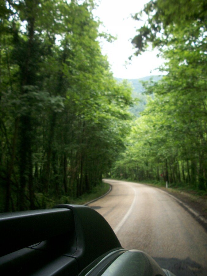 Yenice OrmanlarÃƒÂƒÃ‚Â„ÃƒÂ‚Ã‚Â± 11.jpg