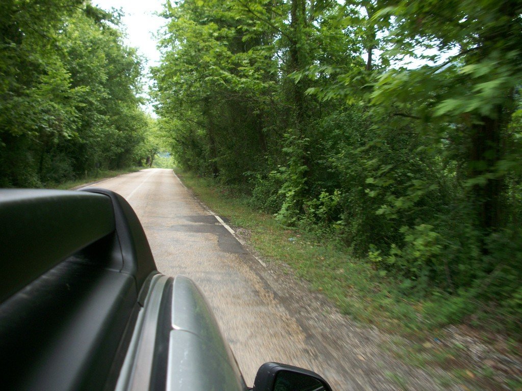 Yenice OrmanlarÃƒÂƒÃ‚Â„ÃƒÂ‚Ã‚Â± 8.jpg