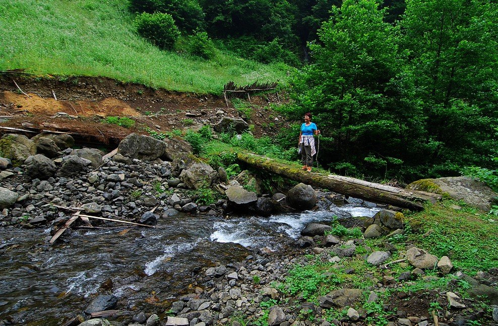 Yol dere ile kesilmiÃƒÂƒÃ‚Â…ÃƒÂ‚Ã‚ÂŸ-kÃƒÂƒÃ‚ÂƒÃƒÂ‚Ã‚Â¼tÃƒÂƒÃ‚ÂƒÃƒÂ‚Ã‚Â¼k kÃƒÂƒÃ‚ÂƒÃƒÂ‚Ã‚Â¶prÃƒÂƒÃ‚Âƒ