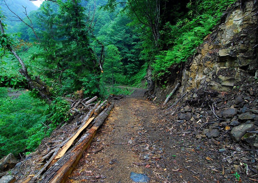 yol kaybedince ÃƒÂƒÃ‚ÂƒÃƒÂ‚Ã‚Â§ÃƒÂƒÃ‚Â„ÃƒÂ‚Ã‚Â±ktÃƒÂƒÃ‚Â„ÃƒÂ‚Ã‚Â±gÃƒÂƒÃ‚Â„ÃƒÂ‚Ã‚Â±mÃƒÂƒÃ‚Â„ÃƒÂ‚Ã‚Â±z