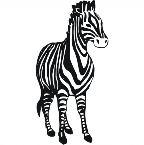 Zebra.jpg