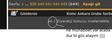 ZIYARETCI.JPG