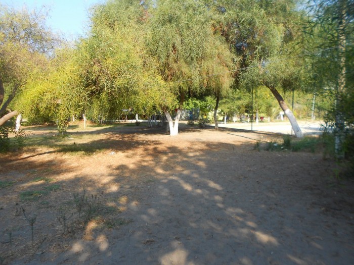 DSCN1689 - Kopya.JPG