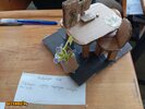 IMG_20250512_130952.jpg
