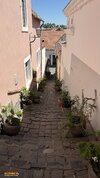 IMG_2427.jpeg