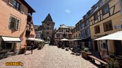 IMG_3532.jpeg