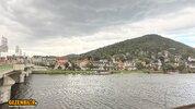IMG_3754.jpeg