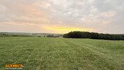 IMG_4190.jpeg