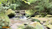 IMG_4153.jpeg