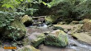 IMG_4152.jpeg