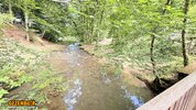 IMG_4139.jpeg