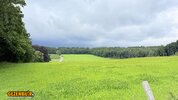 IMG_4219.jpeg