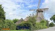 IMG_4575.jpeg