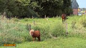 IMG_4859_Original.jpeg