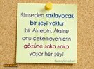 O-nJOJyJkbewOs9M&_nc_zt=23&_nc_ht=scontent.fesb4-2.jpg