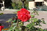 IMG_5672.JPG