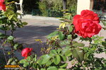 IMG_5673.JPG
