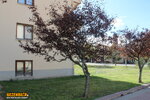 IMG_5670.JPG