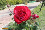 IMG_5701.JPG