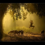 DENIZ BEKTAS OZDEMIR