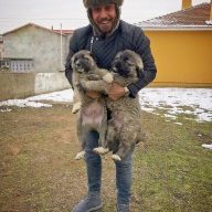 Serhat sivaslıoğlu