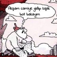 Hamdi Alp