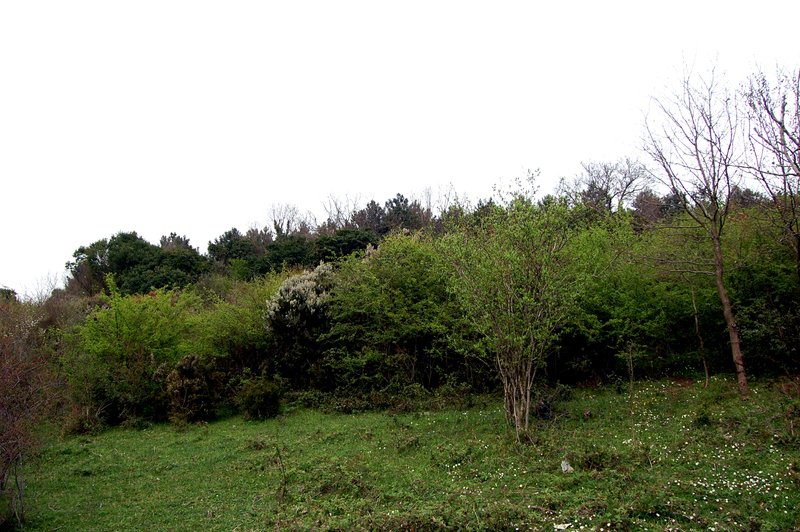 dsc6860.jpg