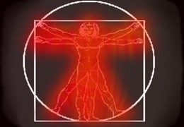 auro_07.jpg