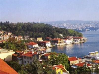 beykoz-web-tasarim-7.jpg