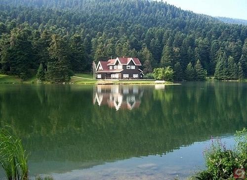 bolu-golcuk-0b82db41-tfai.jpg