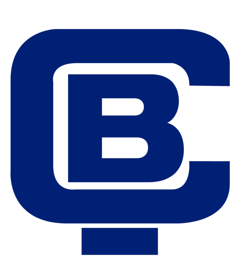 www.buz-celik.com