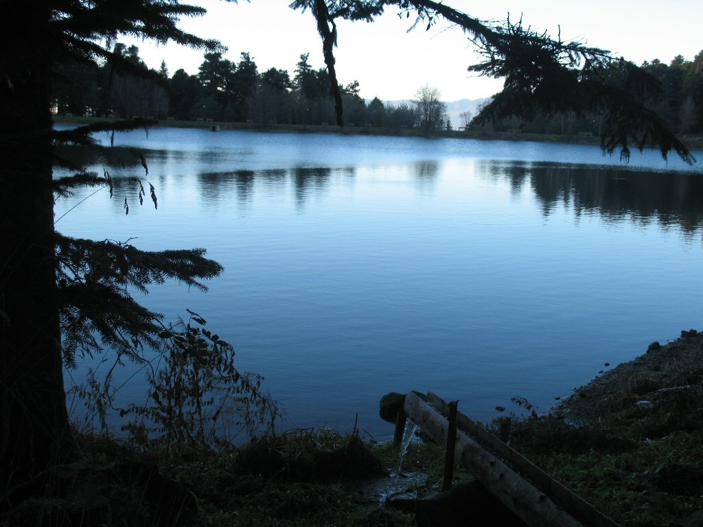img1231sd3.jpg