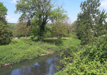 Bozhane Köyü Kamp Alanı