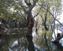 Demircioğlu Camping