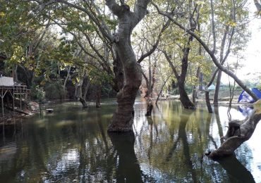 Demircioğlu Camping