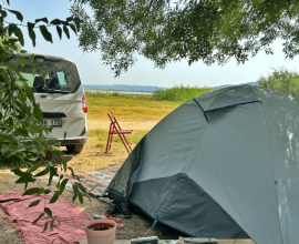 Flamingo Bungalow & Camping